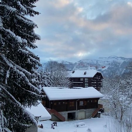 Loge Des Reveurs Apartment Les Carroz d'Araches Exterior photo